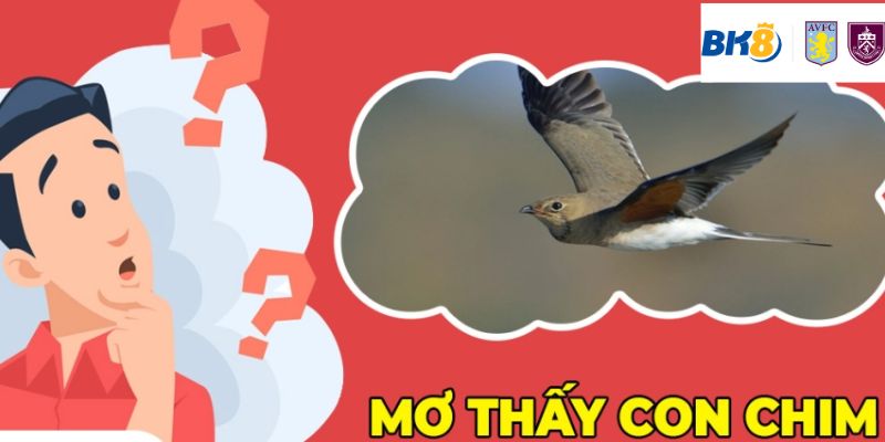 Chiêm bao thấy chim cho bạn những con số may mắn nào?