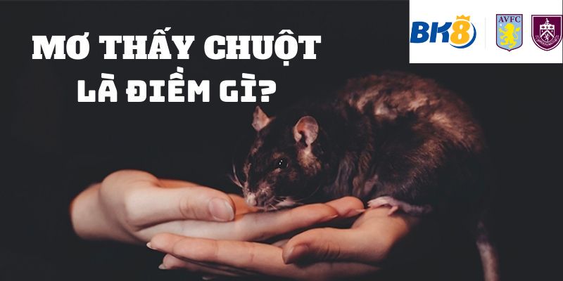 Chiêm bao thấy chuột mang lại ý nghĩa gì?