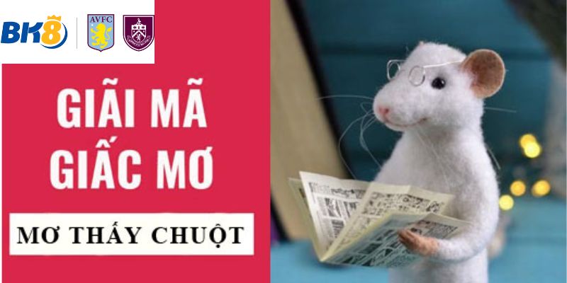 Giải mã giấc mơ thấy chuột?