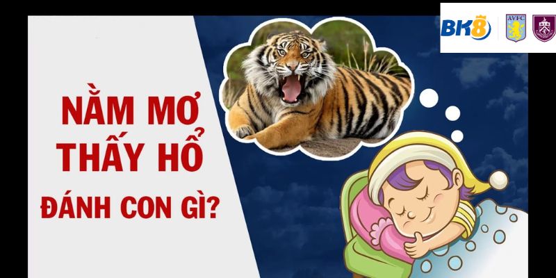 Con số may mắn nâng cao cơ hội đánh con nào?